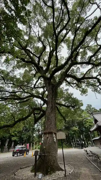 福母八幡宮(佐賀県)