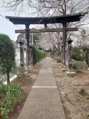 鶴ヶ丸八幡神社(埼玉県)