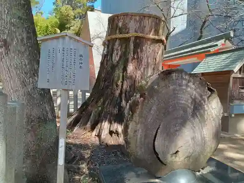 生田神社(兵庫県)