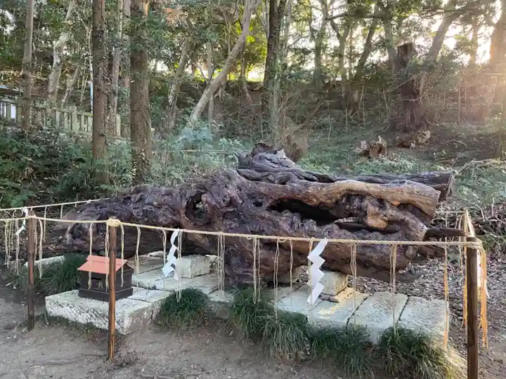 泉神社(茨城県)