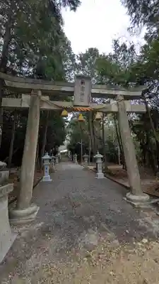 新宮神社(新免)(滋賀県)