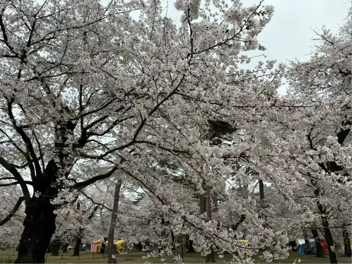 武蔵一宮氷川神社(埼玉県)