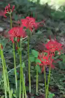 国宝 大法寺(長野県)