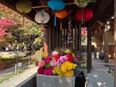 東福禅寺(東福寺)(京都府)