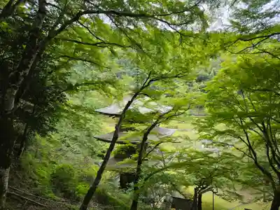 金剛院(京都府)