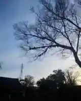 尾張大國霊神社(国府宮)(愛知県)