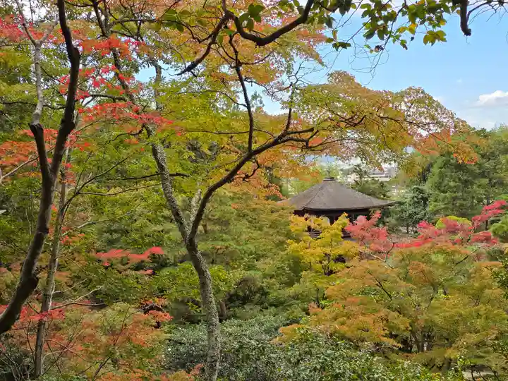 慈照寺(慈照禅寺・銀閣寺)(京都府)