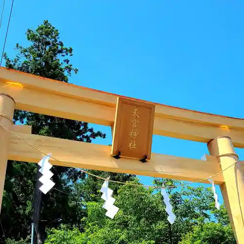 天宮神社の鳥居