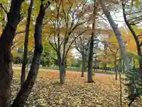 彌彦神社 (伊夜日子神社)の自然