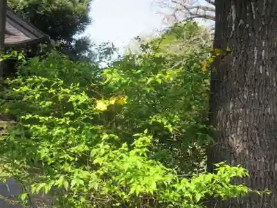 七社神社(東京都)