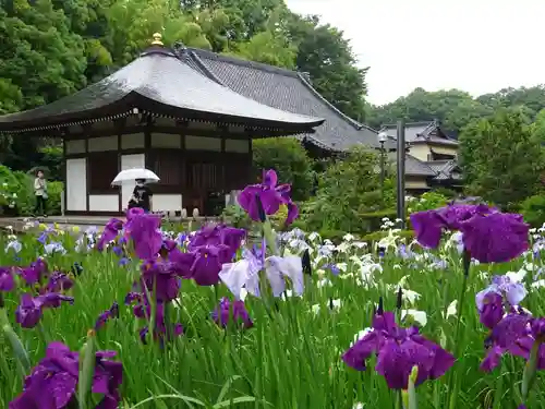 天台宗　長窪山　正覚寺の庭園