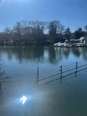 井の頭弁財天（大盛寺）(東京都)