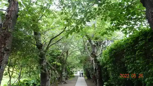 極楽寺（霊鷲山感應院極楽律寺）の景色