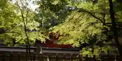 出雲大神宮の景色