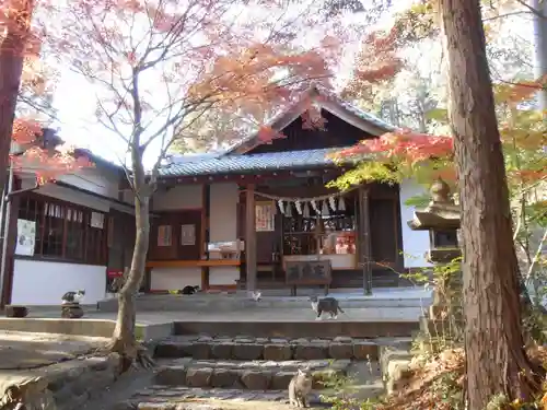 玉野御嶽神社の本殿・本堂