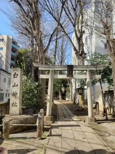 荻窪白山神社の鳥居