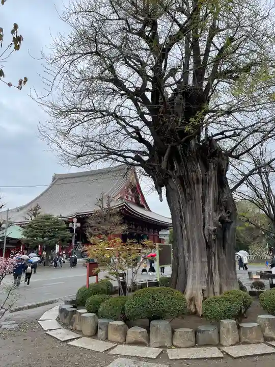 浅草寺(東京都)