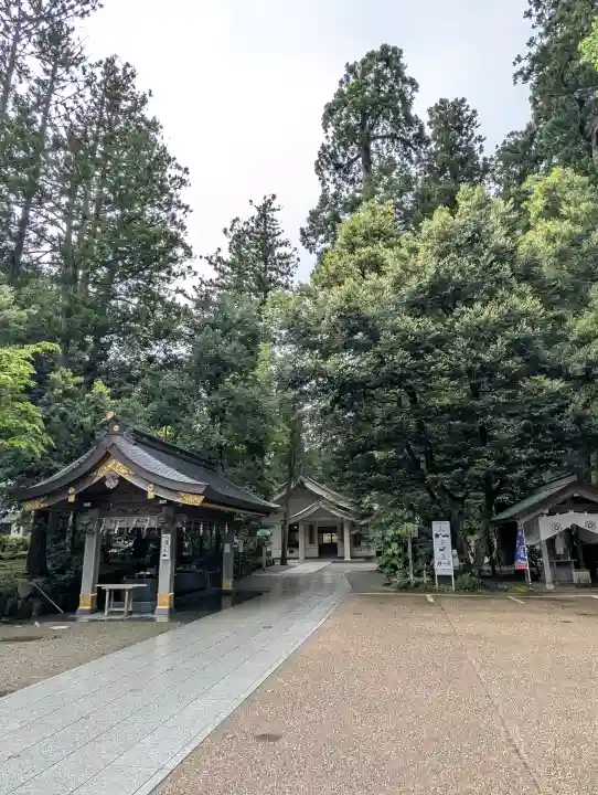 白山比咩神社の{uncategorized: "未分類", other: "その他", undefined: "問題あり", building: "その他建物", grave: "お墓", sacred_gate: "鳥居", guardian: "狛犬", statue: "像", buddha: "仏像", history: "歴史", nature: "自然", garden: "庭園", animal: "動物", pagoda: "塔", temizu: "手水舎", mountain_gate: "山門・神門", sanctuary: "本殿・本堂", subordinate: "末社・摂社", art: "芸術", scenery: "景色", jizo: "地蔵", ema: "絵馬", goshuin: "御朱印", omikuji: "おみくじ", items: "授与品その他", amulet: "お守り", goshuincho: "御朱印帳", eats: "食事", festival: "お祭り", votive_dance: "神楽", shichigosan: "七五三参", wedding: "結婚式", experience: "体験その他", initially: "初詣", around: "周辺", anti_infection: "感染症対策"}