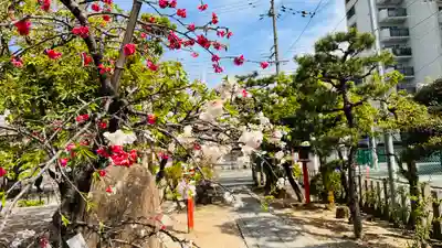 首途八幡宮(京都府)