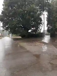 伏木香取神社(茨城県)(2023年10月15日(日) 08時02分22秒投稿)