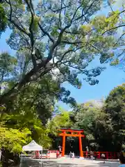 賀茂御祖神社（下鴨神社）(京都府)