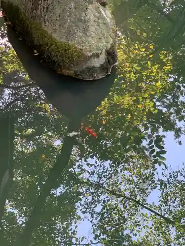 花巻神社(岩手県)