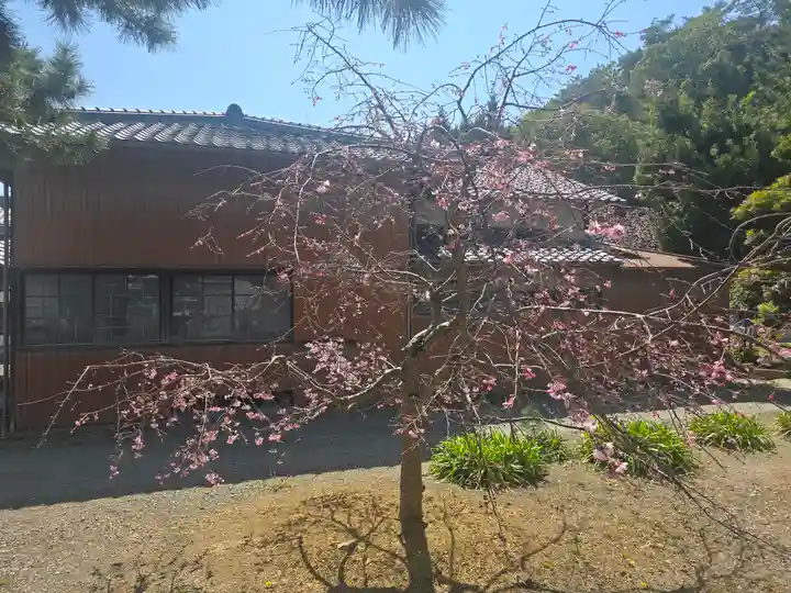 養珠寺(和歌山県)
