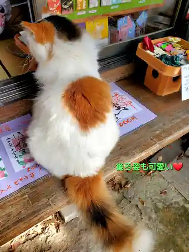 阿邪訶根神社(福島県)