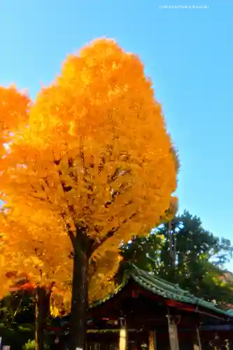 根津神社(東京都)