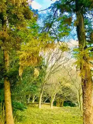 金嶽神社の周辺