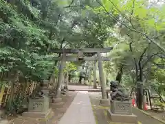 渋谷氷川神社の鳥居