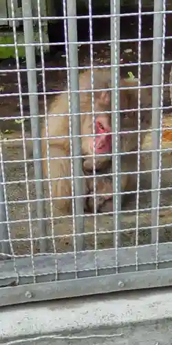 日吉大社(滋賀県)