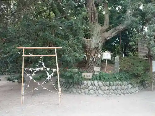 白羽神社のその他建物