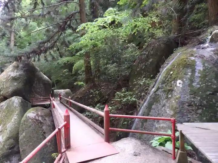 名草厳島神社の自然