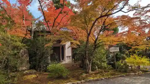 常照寺(京都府)