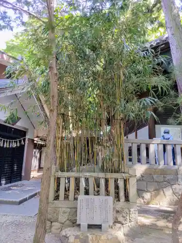 矢作神社の自然
