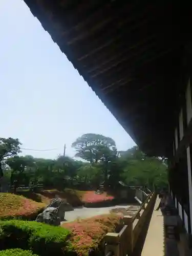 光明寺の庭園