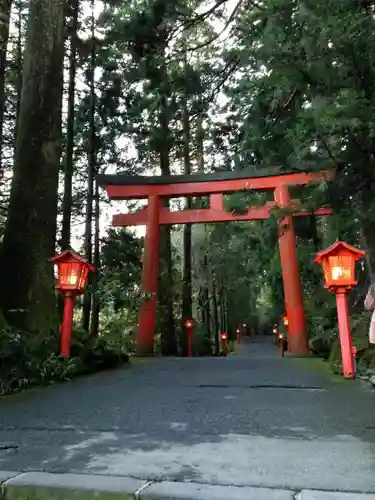 箱根神社の鳥居