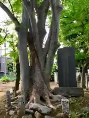 浮島稲荷神社の建物その他