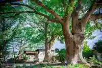 宇美八幡宮(福岡県)