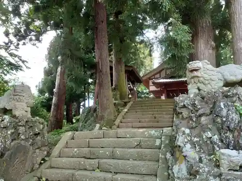 小沼浅間神社の狛犬