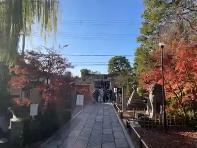晴明神社(京都府)
