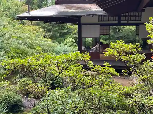 天球院(京都府)