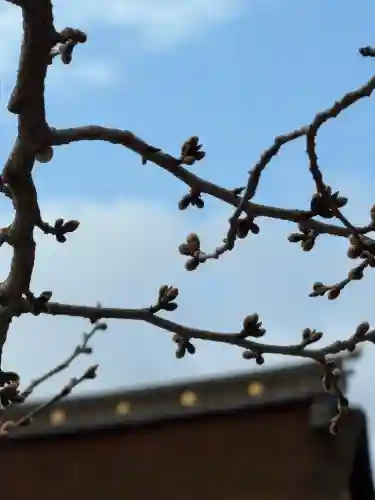 石清水八幡宮の{uncategorized: "未分類", other: "その他", undefined: "問題あり", building: "その他建物", grave: "お墓", sacred_gate: "鳥居", guardian: "狛犬", statue: "像", buddha: "仏像", history: "歴史", nature: "自然", garden: "庭園", animal: "動物", pagoda: "塔", temizu: "手水舎", mountain_gate: "山門・神門", sanctuary: "本殿・本堂", subordinate: "末社・摂社", art: "芸術", scenery: "景色", jizo: "地蔵", ema: "絵馬", goshuin: "御朱印", omikuji: "おみくじ", items: "授与品その他", amulet: "お守り", goshuincho: "御朱印帳", eats: "食事", festival: "お祭り", votive_dance: "神楽", shichigosan: "七五三参", wedding: "結婚式", experience: "体験その他", initially: "初詣", around: "周辺", anti_infection: "感染症対策"}