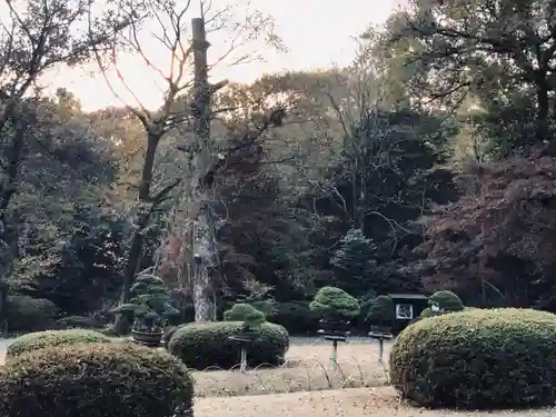 明治神宮(東京都)