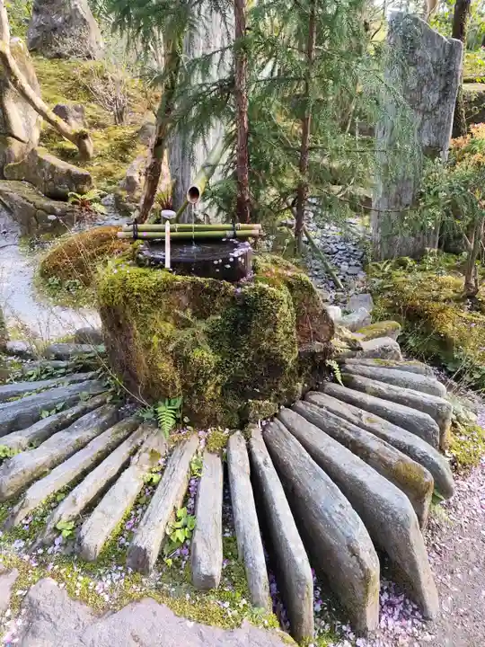 宝泉院(京都府)