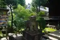 白山神社の狛犬