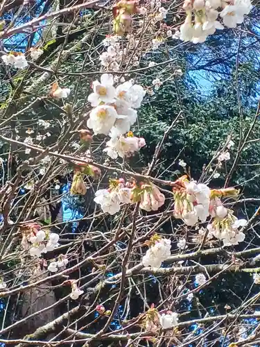 白狐山光星寺(山形県)
