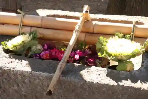 小野神社の{uncategorized: "未分類", other: "その他", undefined: "問題あり", building: "その他建物", grave: "お墓", sacred_gate: "鳥居", guardian: "狛犬", statue: "像", buddha: "仏像", history: "歴史", nature: "自然", garden: "庭園", animal: "動物", pagoda: "塔", temizu: "手水舎", mountain_gate: "山門・神門", sanctuary: "本殿・本堂", subordinate: "末社・摂社", art: "芸術", scenery: "景色", jizo: "地蔵", ema: "絵馬", goshuin: "御朱印", omikuji: "おみくじ", items: "授与品その他", amulet: "お守り", goshuincho: "御朱印帳", eats: "食事", festival: "お祭り", votive_dance: "神楽", shichigosan: "七五三参", wedding: "結婚式", experience: "体験その他", initially: "初詣", around: "周辺", anti_infection: "感染症対策"}
