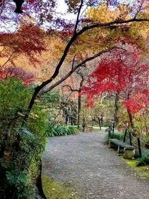 本土寺(千葉県)